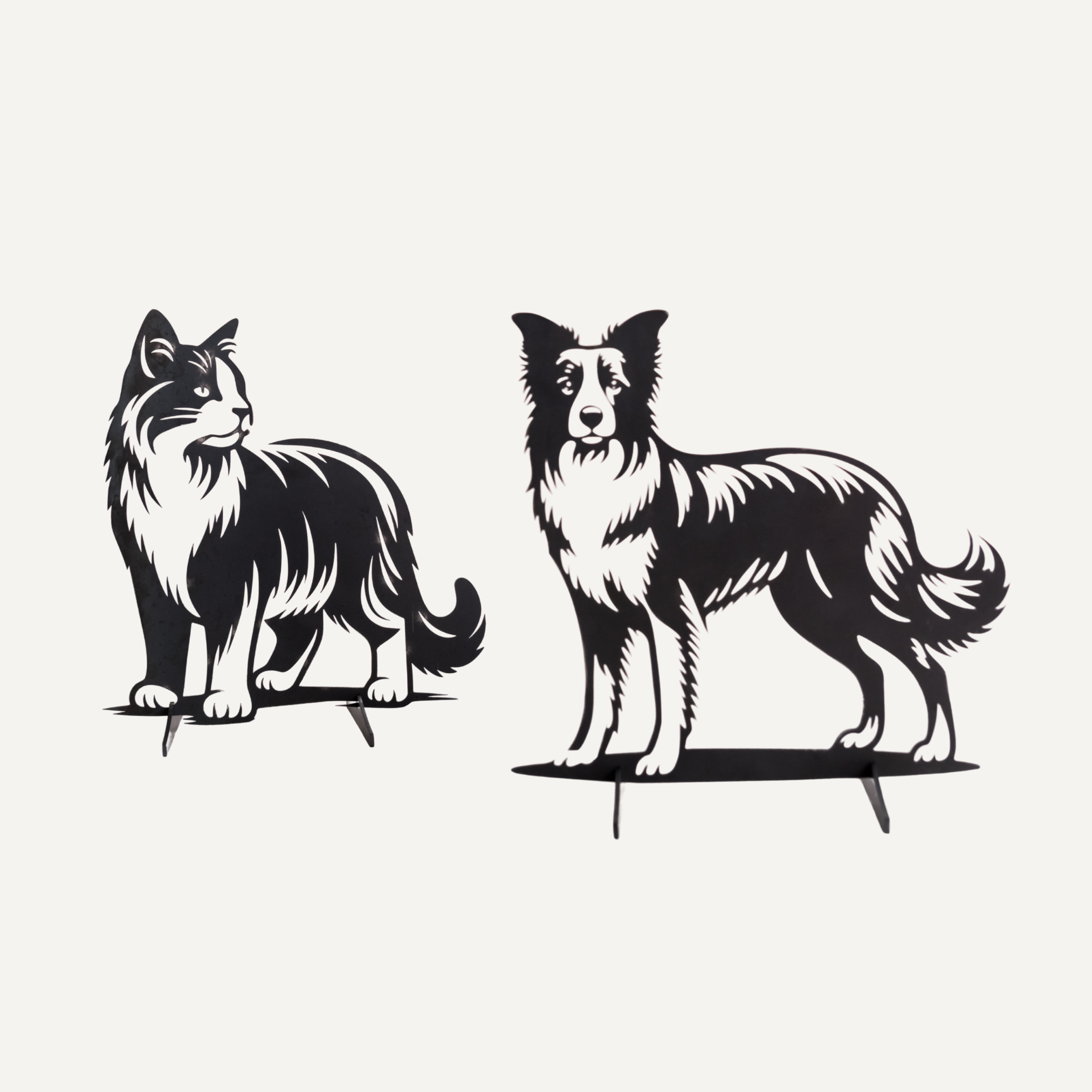 Dolly de Border Collie