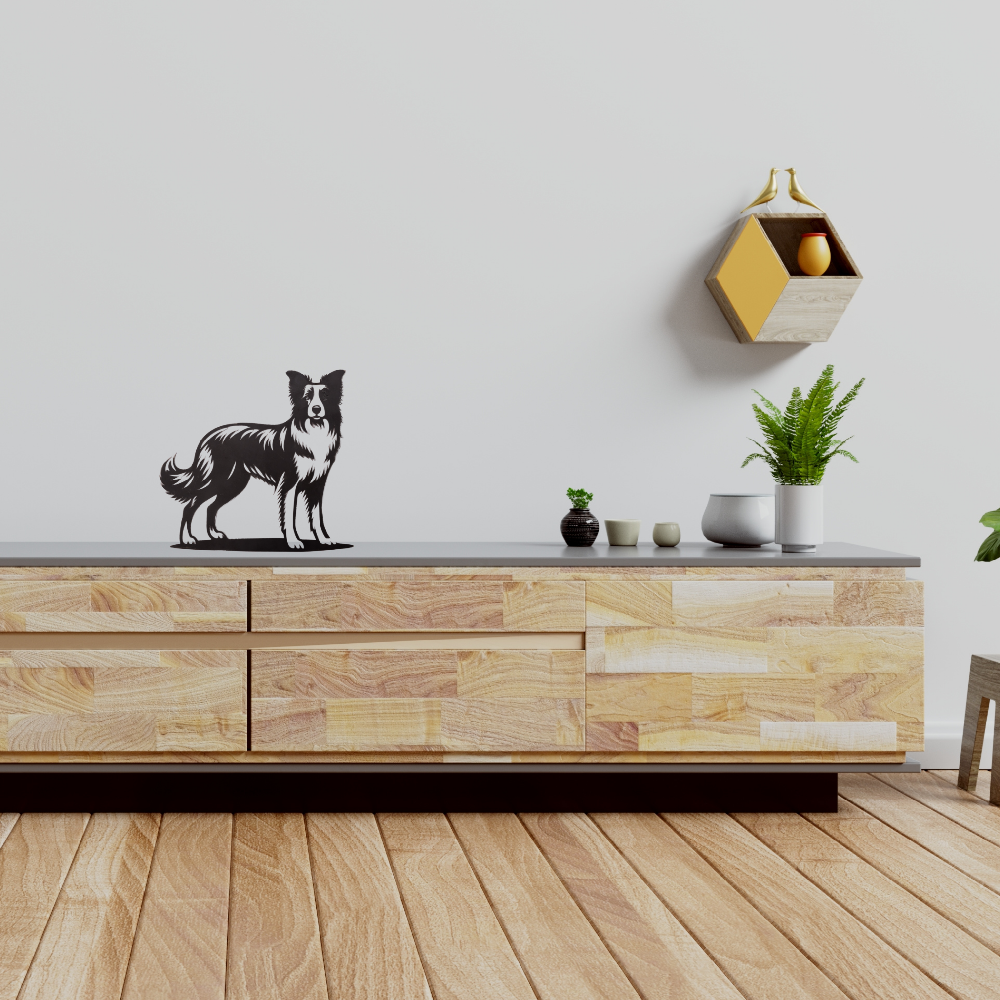 Dolly de Border Collie