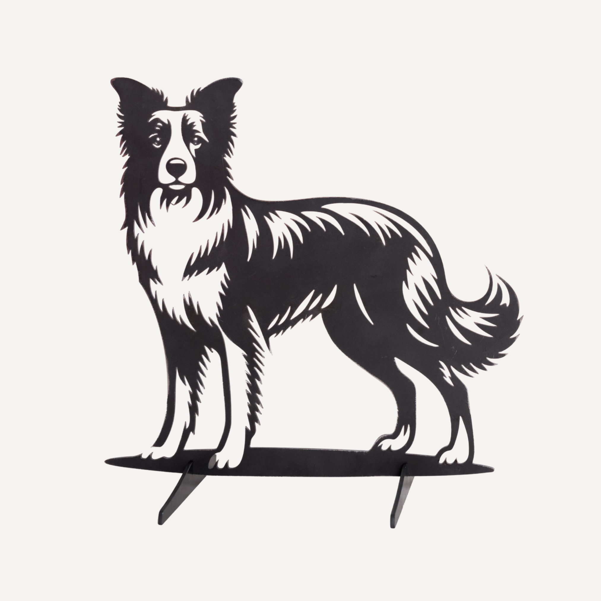 Dolly de Border Collie