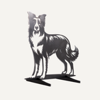 Dolly de Border Collie