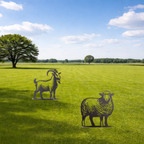 Stientje het Schaap