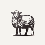 Stientje het Schaap